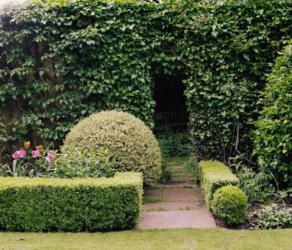 Formal and wild garden, divided by clipped hedging