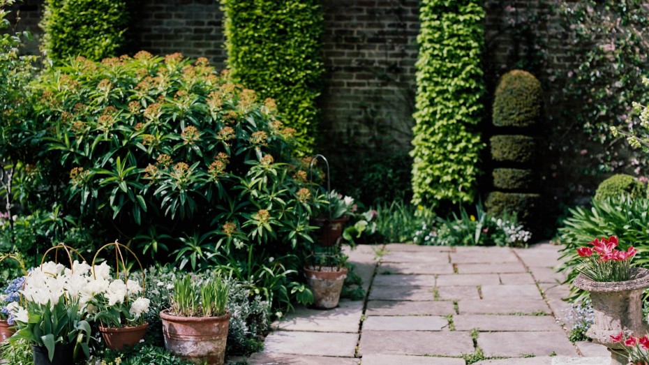 The Botanical Gardener