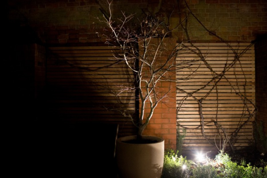 Contemporary garden in North London showing a range of garden lighting